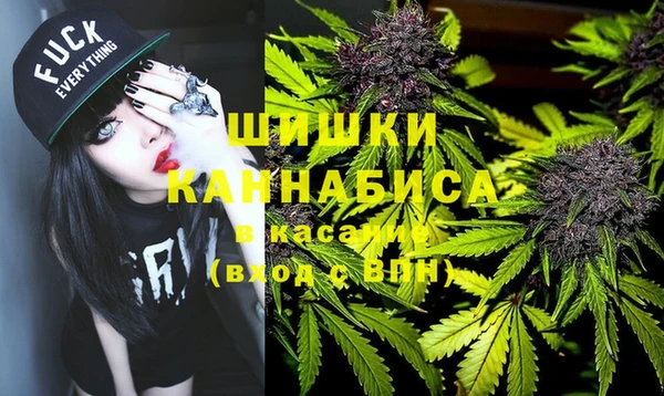 крисы Богородицк