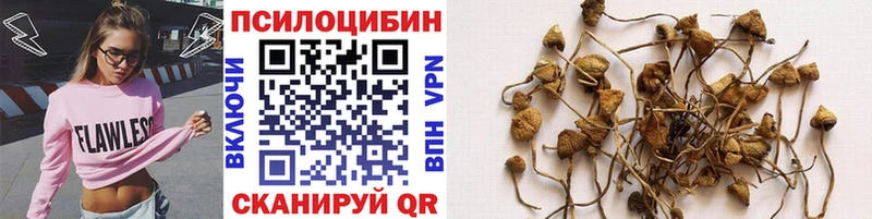 Галлюциногенные грибы мицелий  что такое   Балаково 
